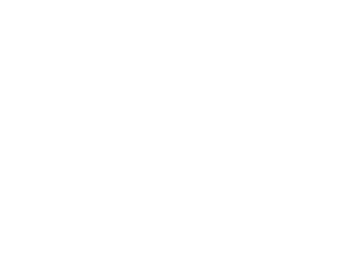 logo footer