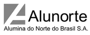ALLUNORTE LOGO