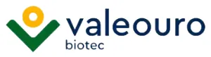 VALEOURO-LOGO